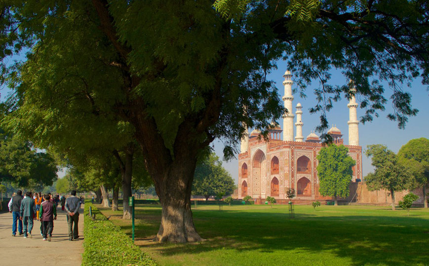 Unique One day Tajmahal Tour with Mughal era rural experience