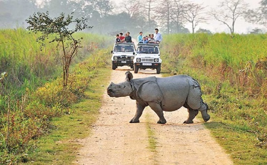 Kaziranga National Park Tour